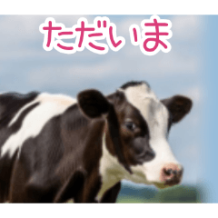 PAKAMOGOLY_20260324002131