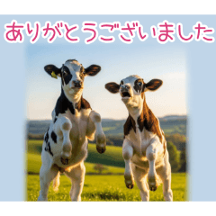 PAKAMOGOLY_20260324001850