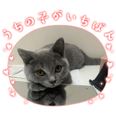 nyapo_20260324015841