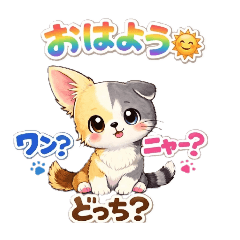 Chiwatisshu Dog? or Cat?