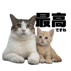 ponkina_20260324020227