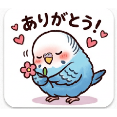 kanan_20260324022305