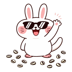 Usa-Ham Sunglasses ver2