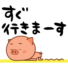 Greetings of the pig