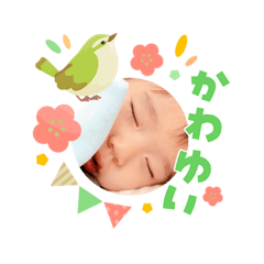 dotechimom_20260323221909