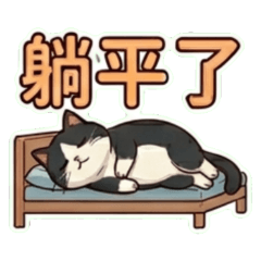 黑白肥貓的MURMUR