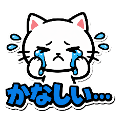 White Cat Contact1_20260324015015