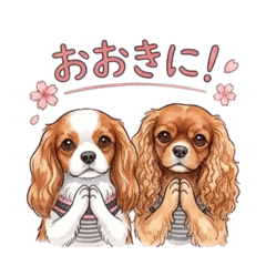 Daily life of Cavalier brothers