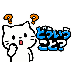 White Cat Contact1_20260324022629