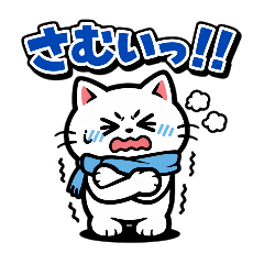 White Cat Contact1_20260324020256