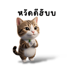 Namfon-khuandow_20260323155532