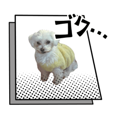 yunyun_20260323223009