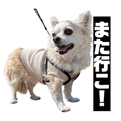 towa0417_20260323230043