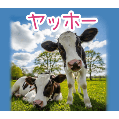 PAKAMOGOLY_20260323230630