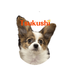 SHIMEJI MOM_20260323231913