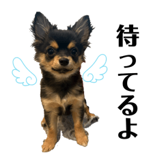 Mechami_20260323230914