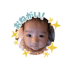 shiho_20260323142152