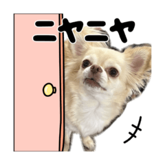 TOMOENTER_20260323144611