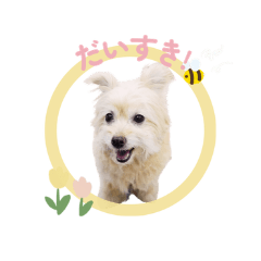 ralfland_20260323144637