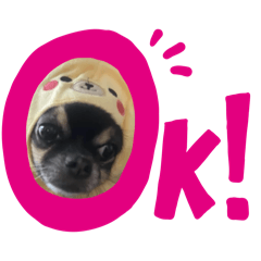 Hahaha_20260323151027