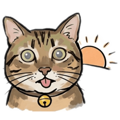 漿先生發瘋日常