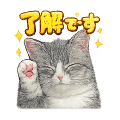 yutaro_20260323234632