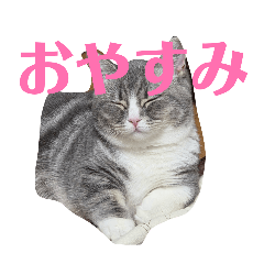 yutaro_20260323234113