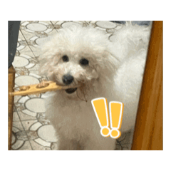 Chosiaoogjfjxfjritualized