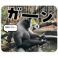 Nagamaru_20260321133852