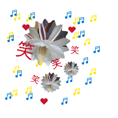 Achie_20260321104218