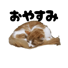 monaka_20260323223601