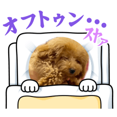 Yuachi_20260323221400