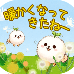 Sui's Spring stickers