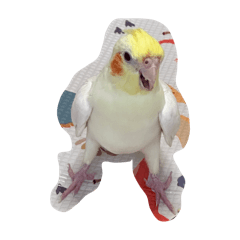 吳樂樂不如眾樂樂