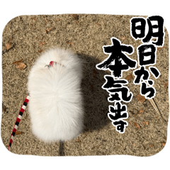 noanoa_20260324005706