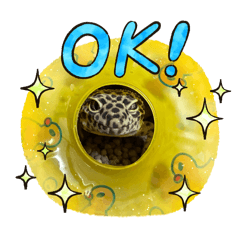 rahukun_20260324011654