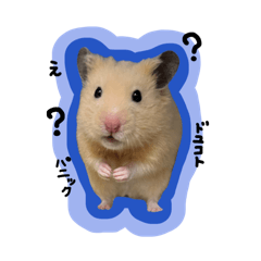 Ohanasan87_20260323235252