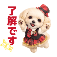 rarabear0730_20260323234225