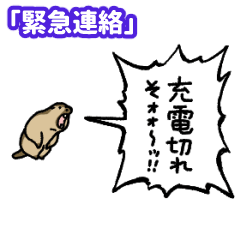 yelling marmot "Urgent message"