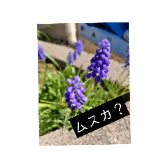 h.w_20260323184103