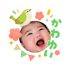 chiho_20260324082926