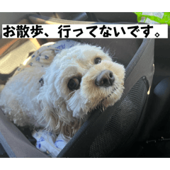 apapapapa_20260323185102