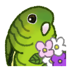Lineolated Parakeet Dark green