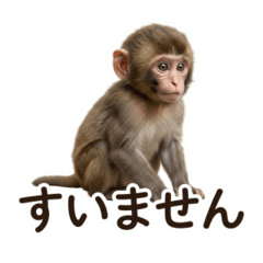 Baby Monkey Greeting 02