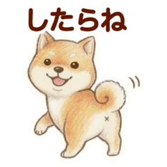 Miyazaki Dialect Shiba Inu
