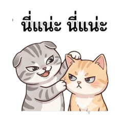 Iseabee_20260323163750