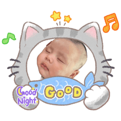 Wipada_20260323165103