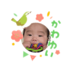 Scotch_20260323194744