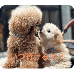 yusugeee_20260323195118