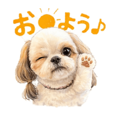 milky_20260323195315